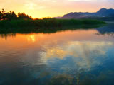 Fishing at Dusk